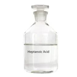 Heptanoic Acid